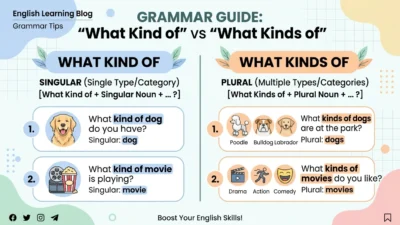 what kind of vs what kinds of